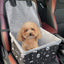 Silla para Autos con interior de tela (Mascotas)