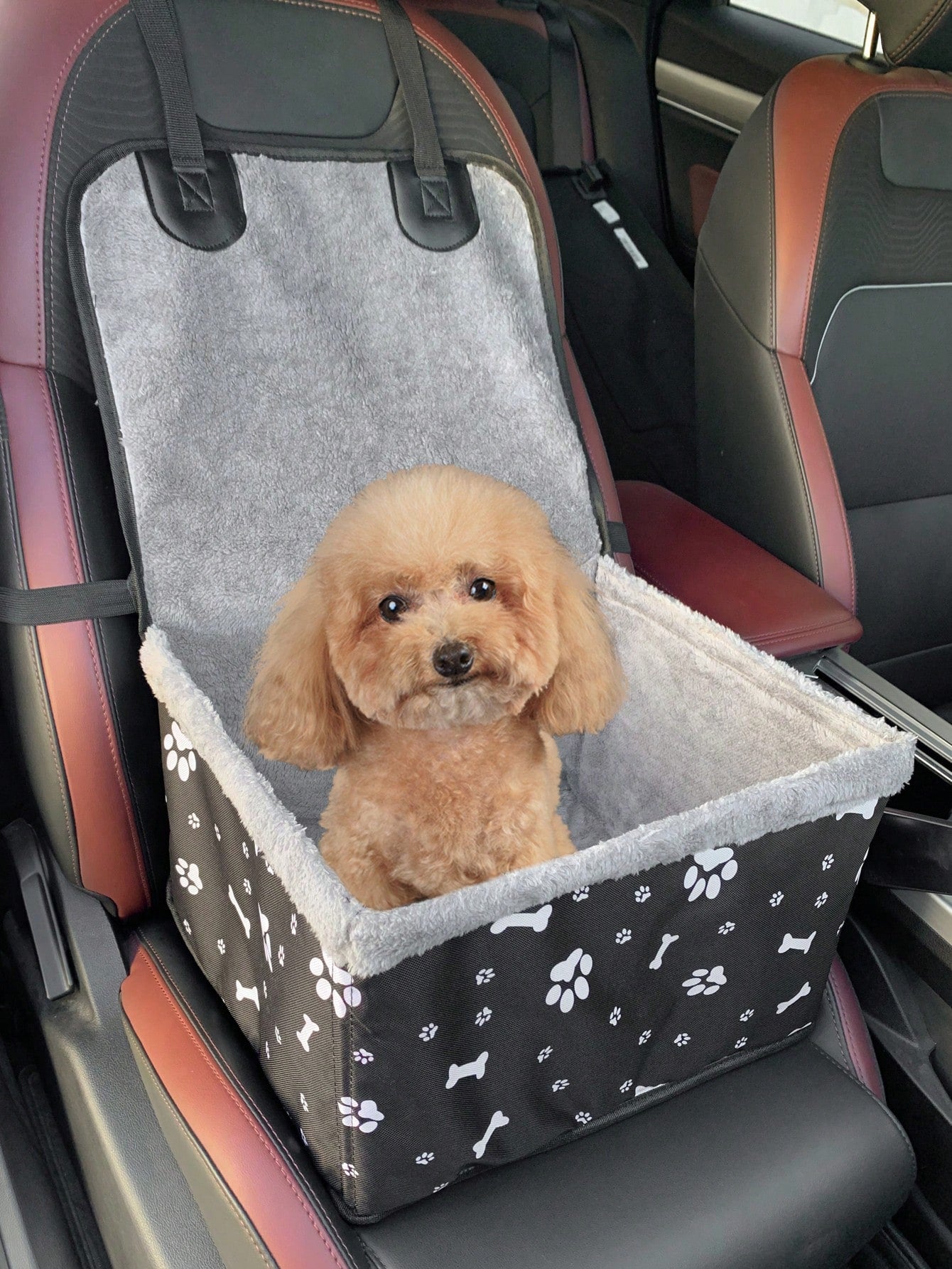 Silla para Autos con interior de tela (Mascotas)