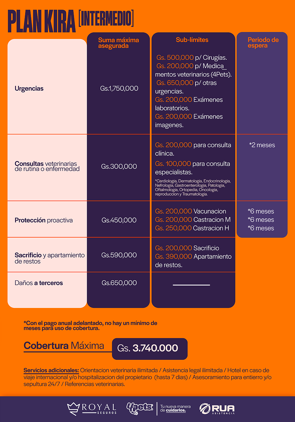 Categoría 1 C - Anual (Gato)  - Cruza/Mestizo