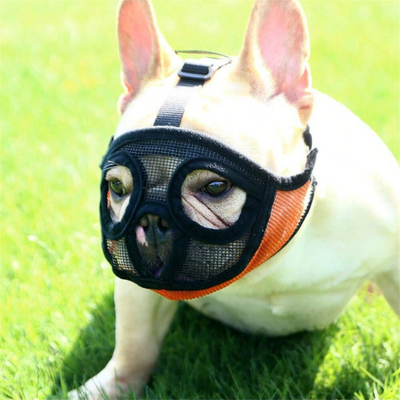 Cubrebocas Mascara para Perro - Hocico Corto