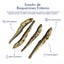 Barky - Snack Natural - Boquerones