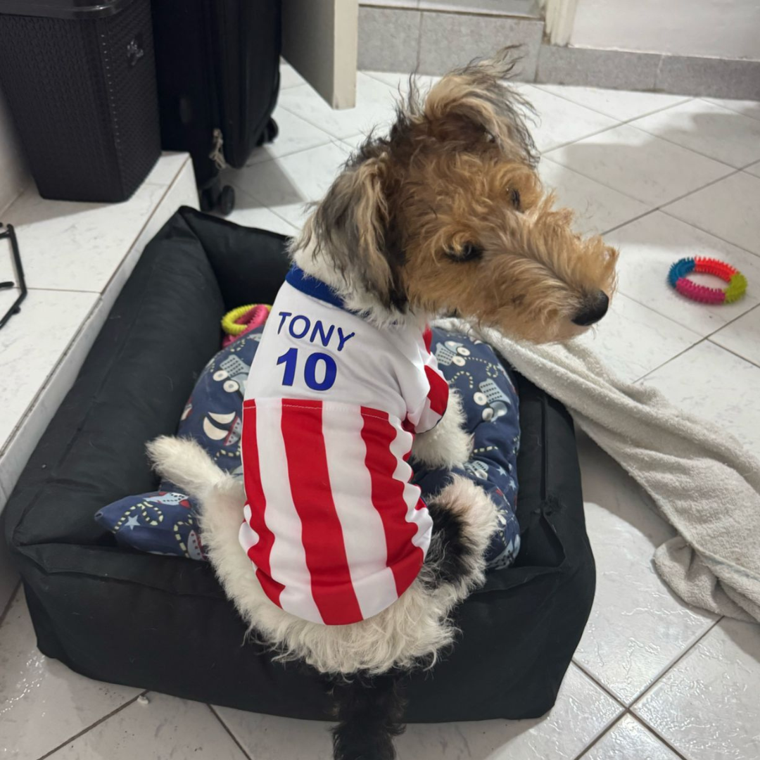 Wanchan - Remera Selección  - Bajo pedido