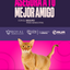 Categoría 2 B - Anual (Gato) - Abisinio