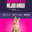 Categoría 2 B - Anual (Gato) - Bengalí
