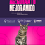 Categoría 1 C - Anual (Gato)  - Cruza/Mestizo