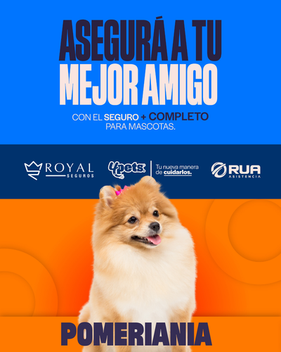 Categoría 3 B - Anual (Perro) - Pomerania