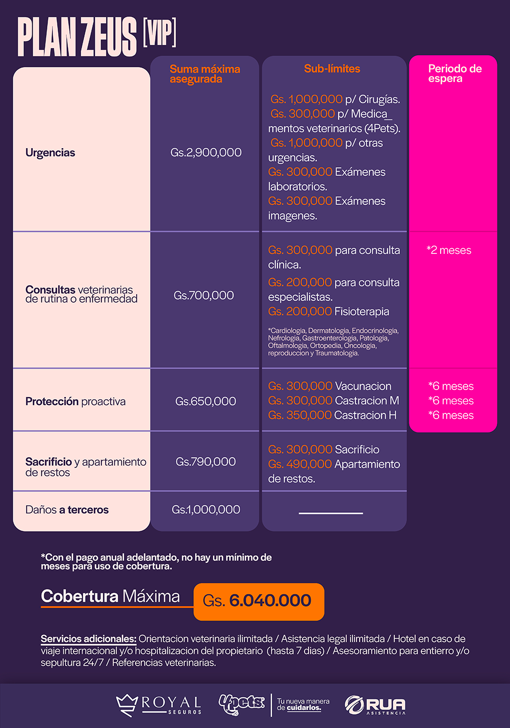 Categoría 1 C - Anual (Gato)  - Cruza/Mestizo