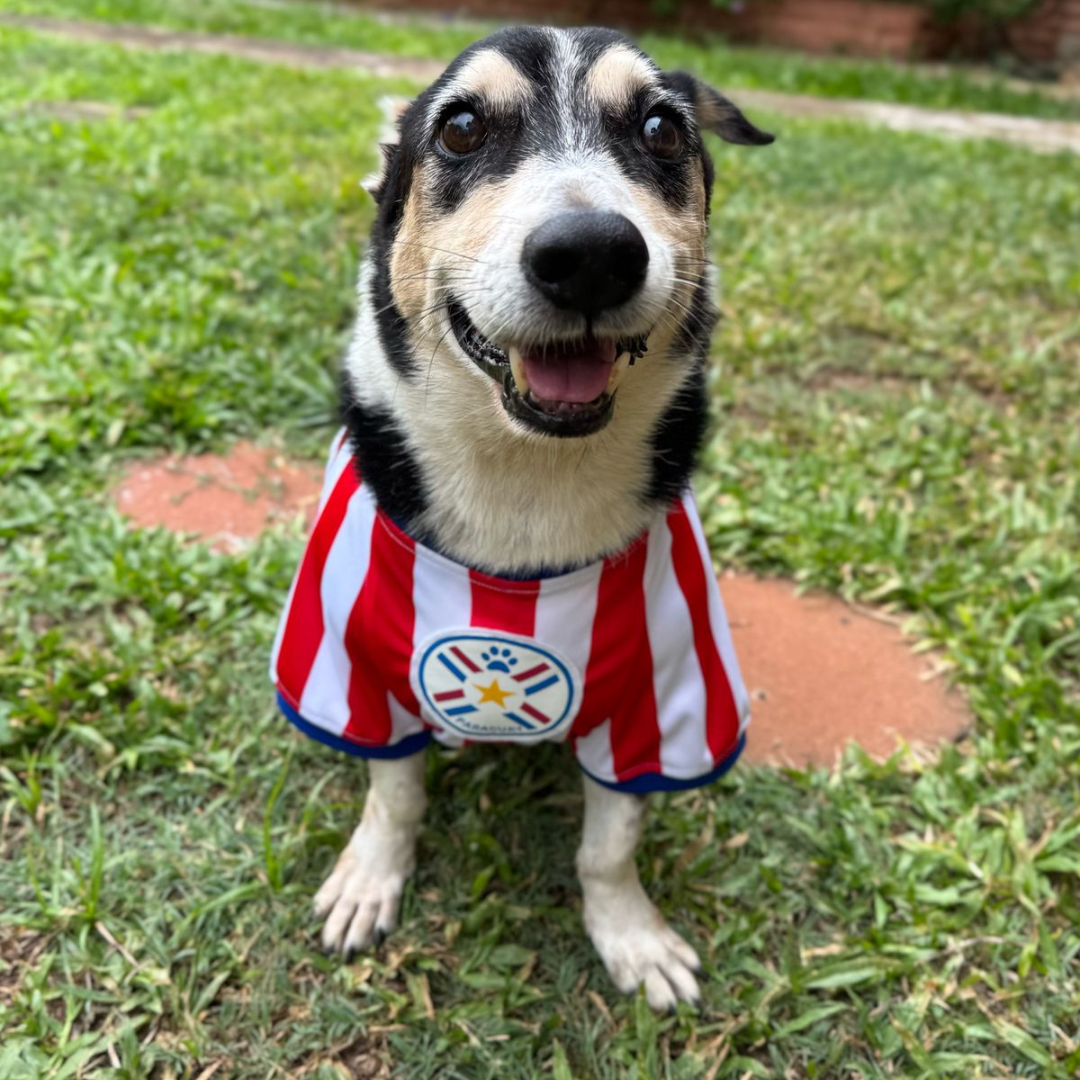 Wanchan - Remera Selección  - Bajo pedido