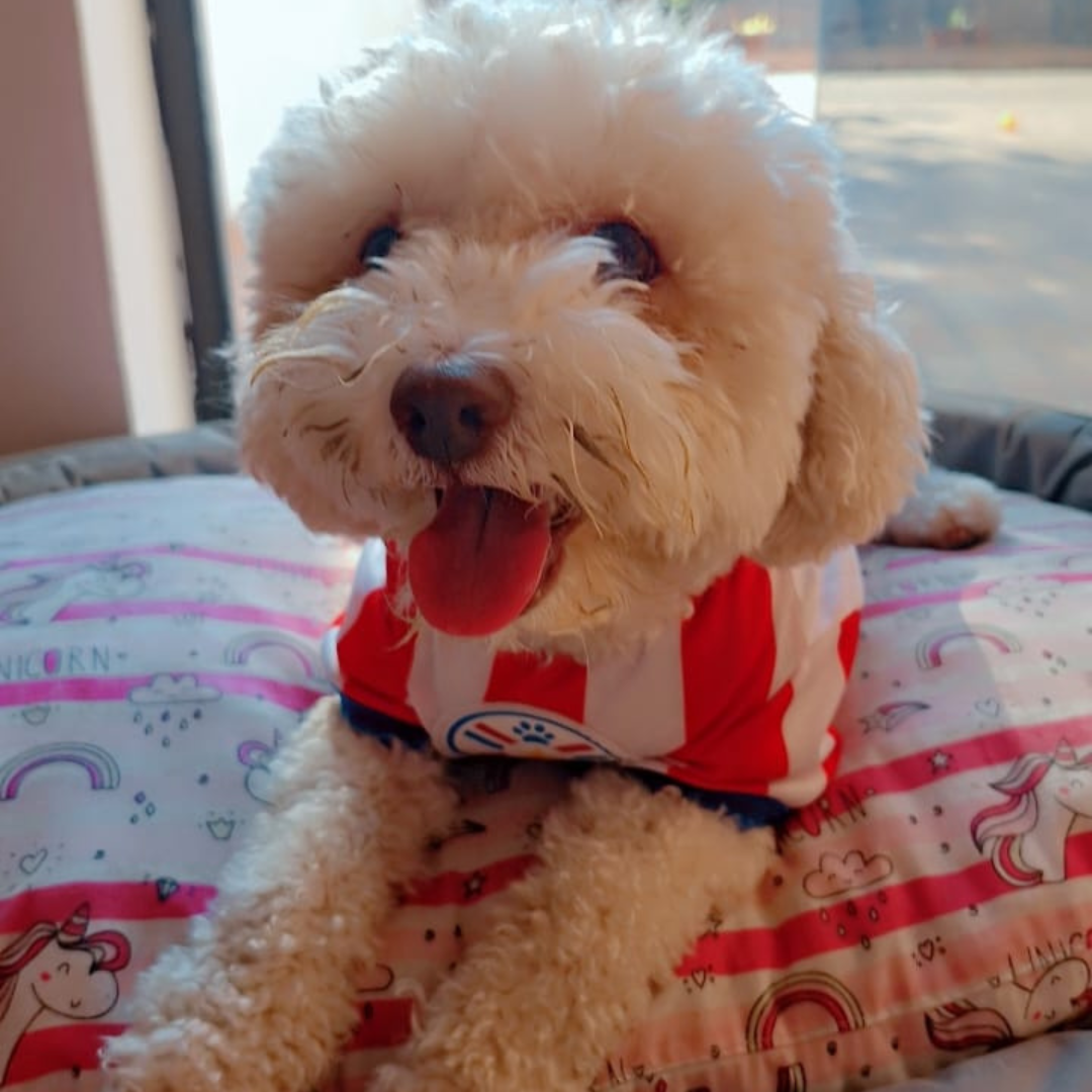 Wanchan - Remera Selección  - Bajo pedido