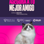 Categoría 2 C - Anual (Gato) - Ragdoll