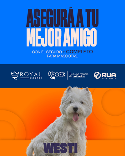 Categoría 2 B - Anual (Perro) - Westi