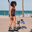 Zeedog - Farm - Cinto Zee.Run - Samba