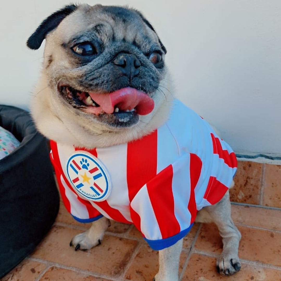 Wanchan - Remera Selección  - Bajo pedido