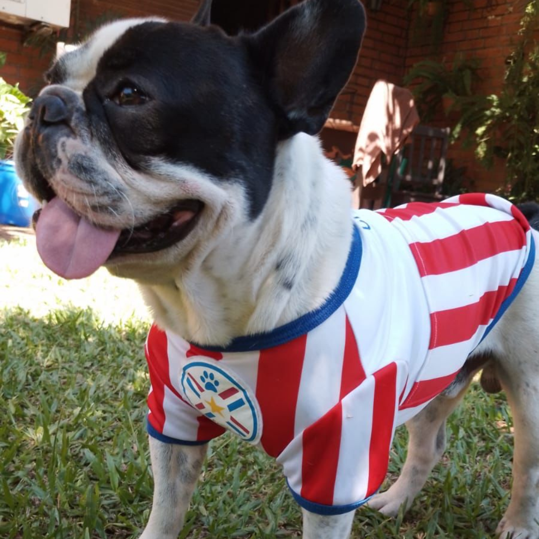 Wanchan - Remera Selección  - Bajo pedido