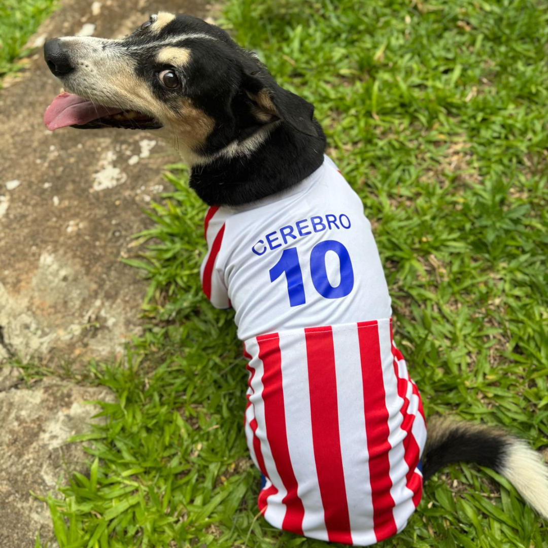 Wanchan - Remera Selección  - Bajo pedido