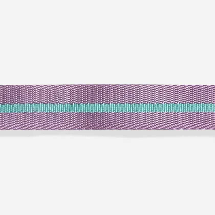 Zeedog - Perros Collar - Aura