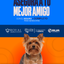 Categoría 1 B - Anual (Perro) - Yorkshire Terrier