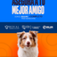 Categoría 2 C - Anual (Perro) - Pastor Australiano