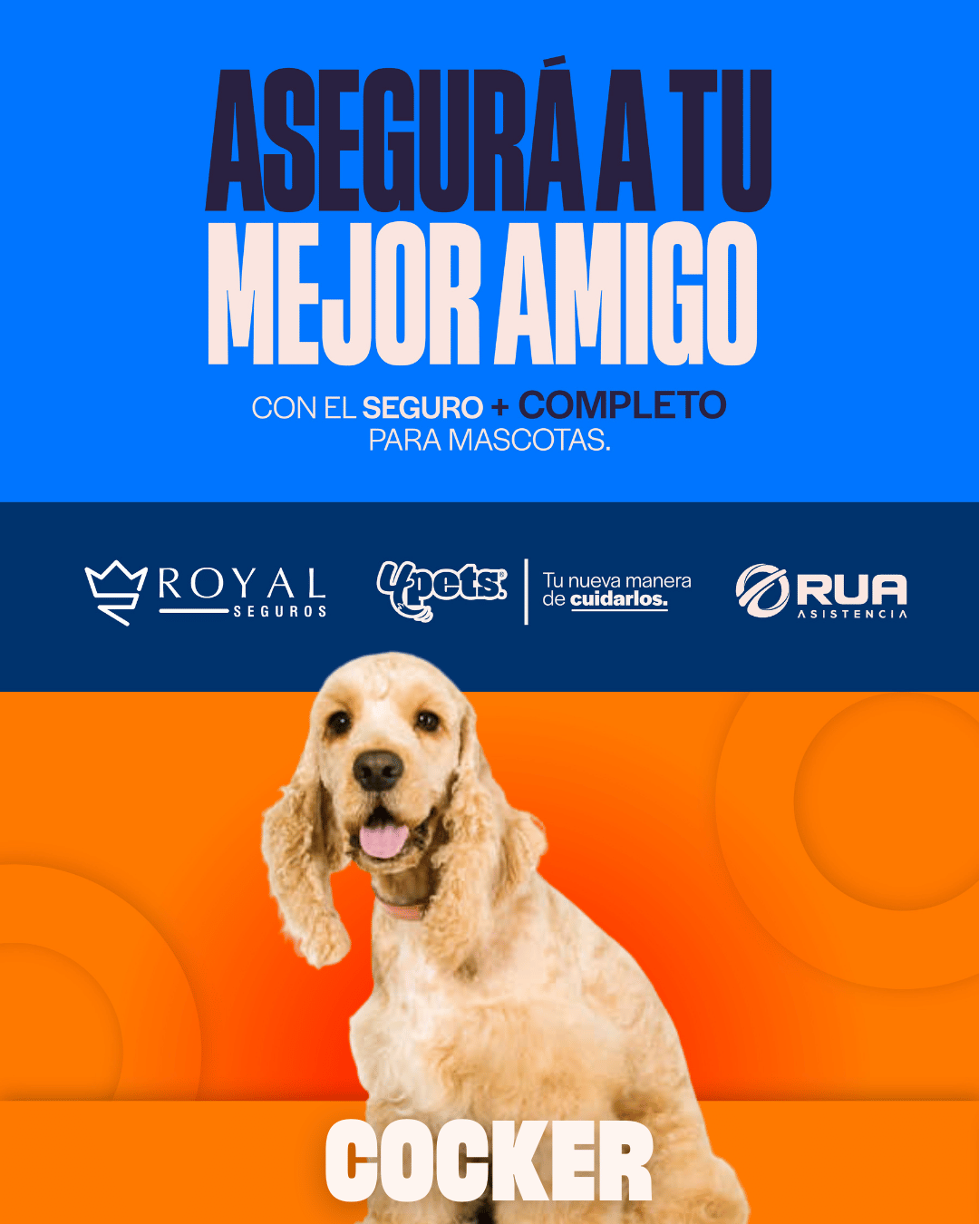 Categoría 1 B - Anual (Perro) - Cocker