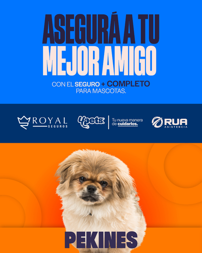Categoría 3 A - Anual (Perro) - Pekines