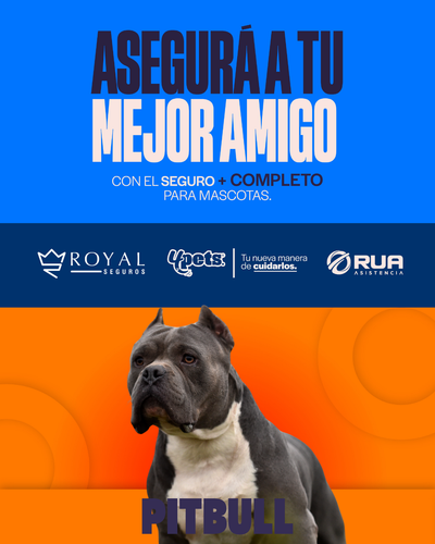 Categoría 2 B - Anual (Perro) -  Pitbull