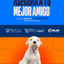 Categoría 2 A - Anual (Perro) - Dogo