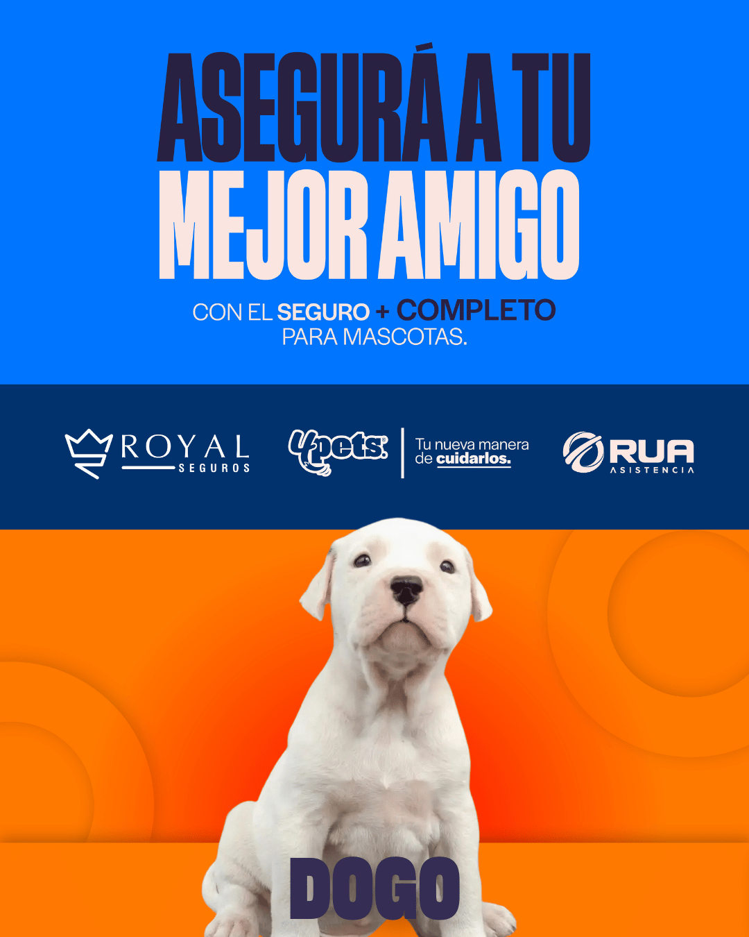 Categoría 2 A - Anual (Perro) - Dogo