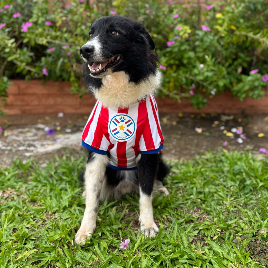 Wanchan - Remera Selección  - Bajo pedido