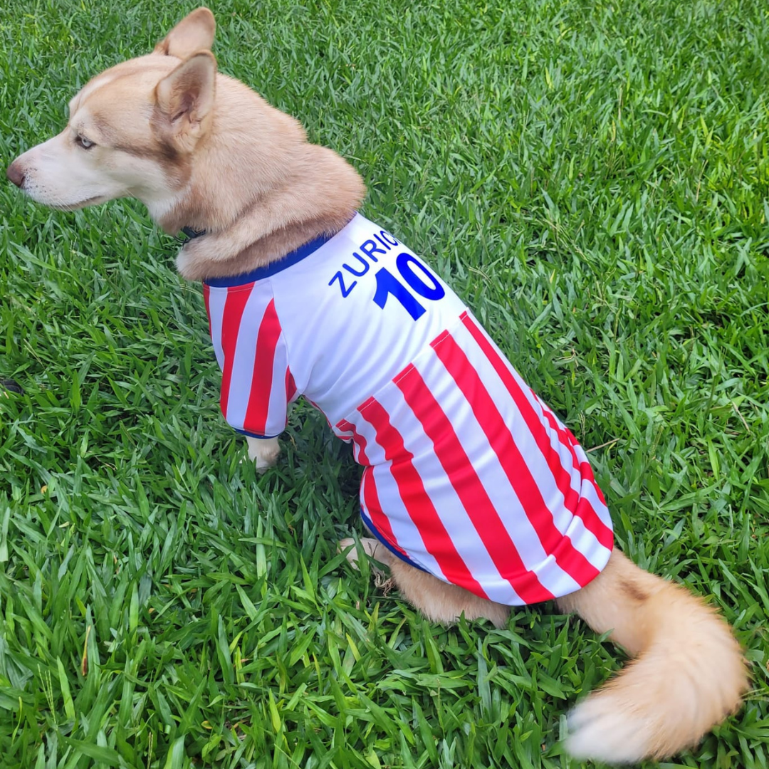 Wanchan - Remera Selección  - Bajo pedido