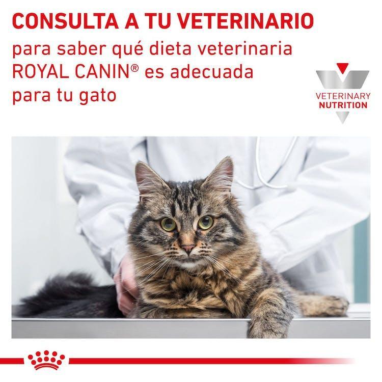 Royal Canin - Gatos Adultos - Cuidado Renal