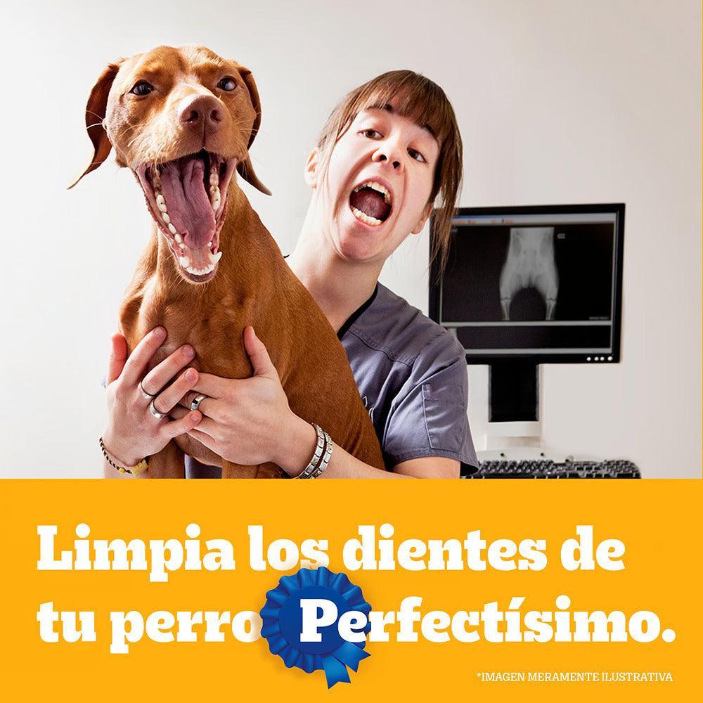 Pedigree - Perros Adultos Pequeños Dentastix - 2 unidades