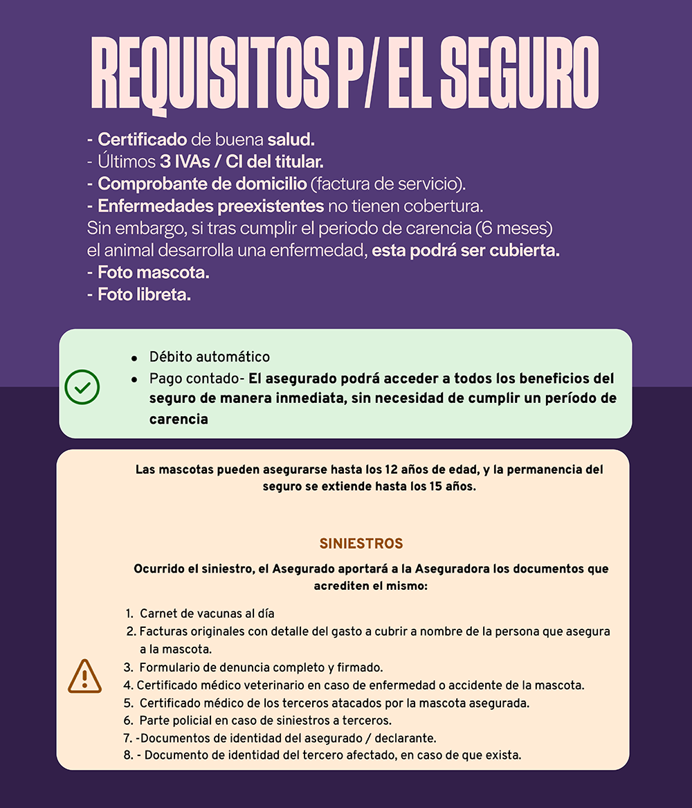 Categoría 1 C - Anual (Perro) - Chihuahua