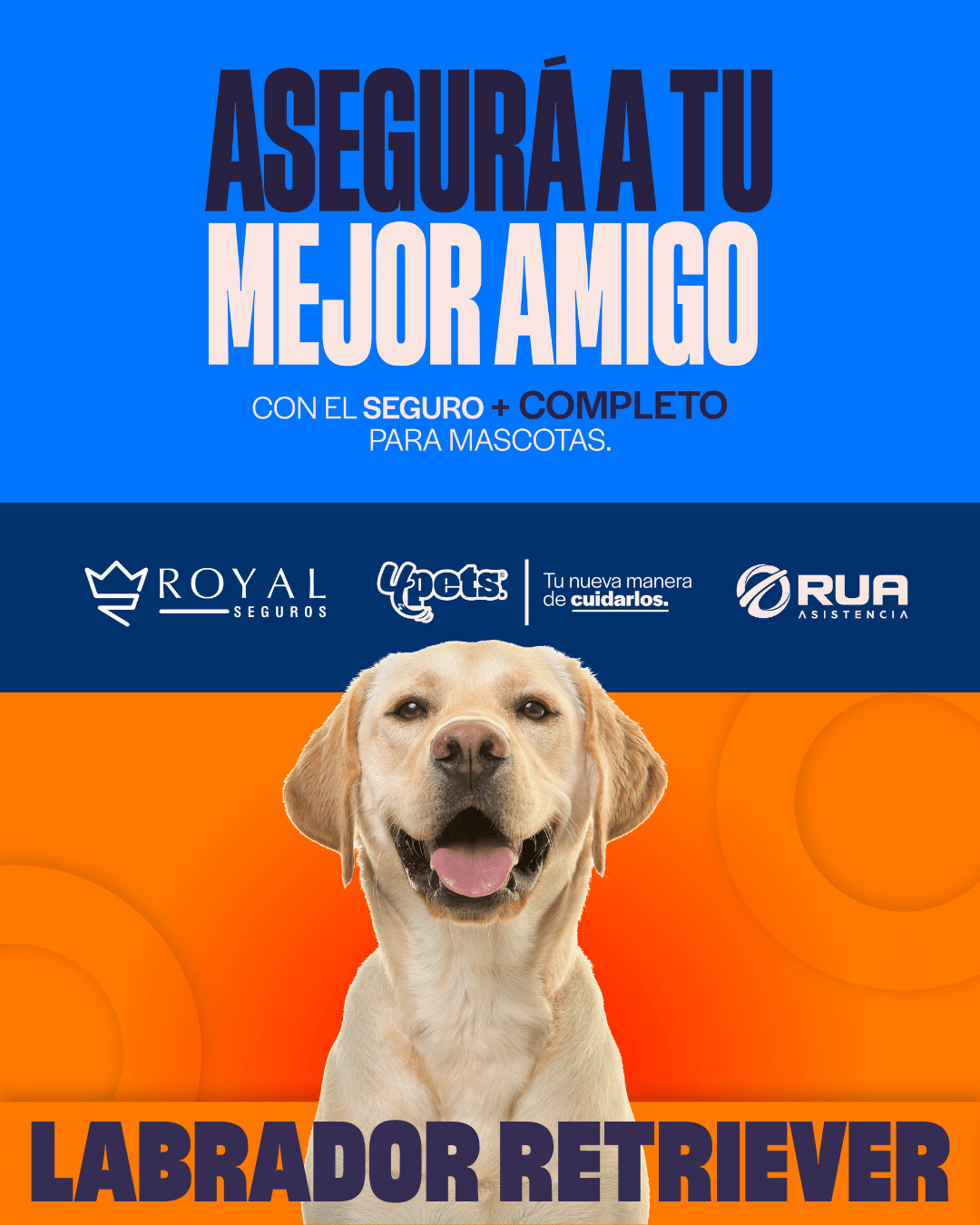 Categoría 1 B - Anual (Perro) - Labrador Retriever