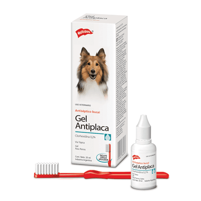 Holliday - Bioclin Gel Antiplaca