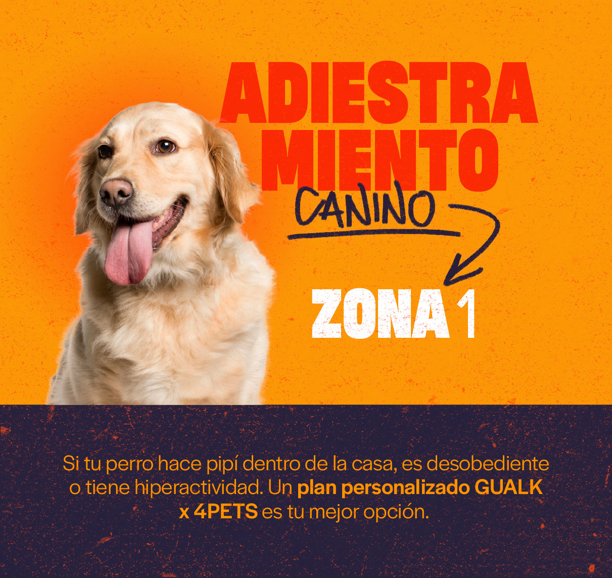 Gualk - Adiestramiento Canino Zona 1 (Asunción, Lambaré, Luque y Fernando de la Mora)