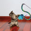 Kong - Gatos Teaser Curlz