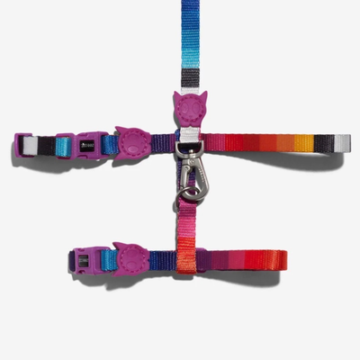 Zeecat - Gatos - Set Pechera Con Correa - Prisma