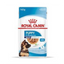 Royal Canin - Perros Cachorros Grandes - Paté