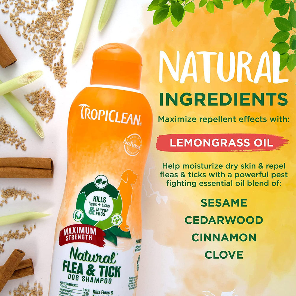 Dry flea shampoo online