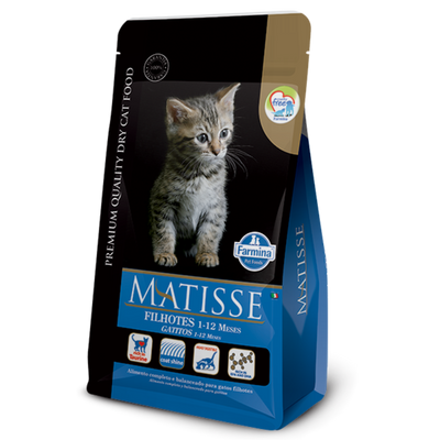 Matisse - Gatitos