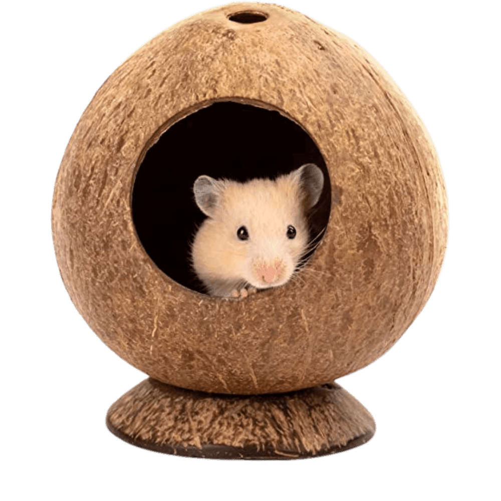 Zoobed - Roedores Cueva de Coco