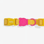 Zeedog - Perros Collar - Neopro Lyra