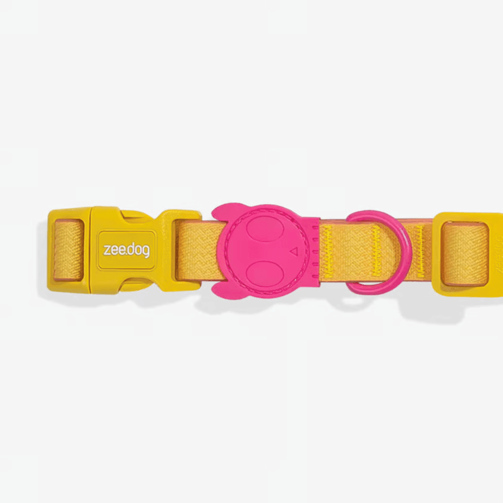 Zeedog - Perros Collar - Neopro Lyra