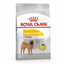 Royal Canin - Perros Adultos Medianos - Dermacomfort