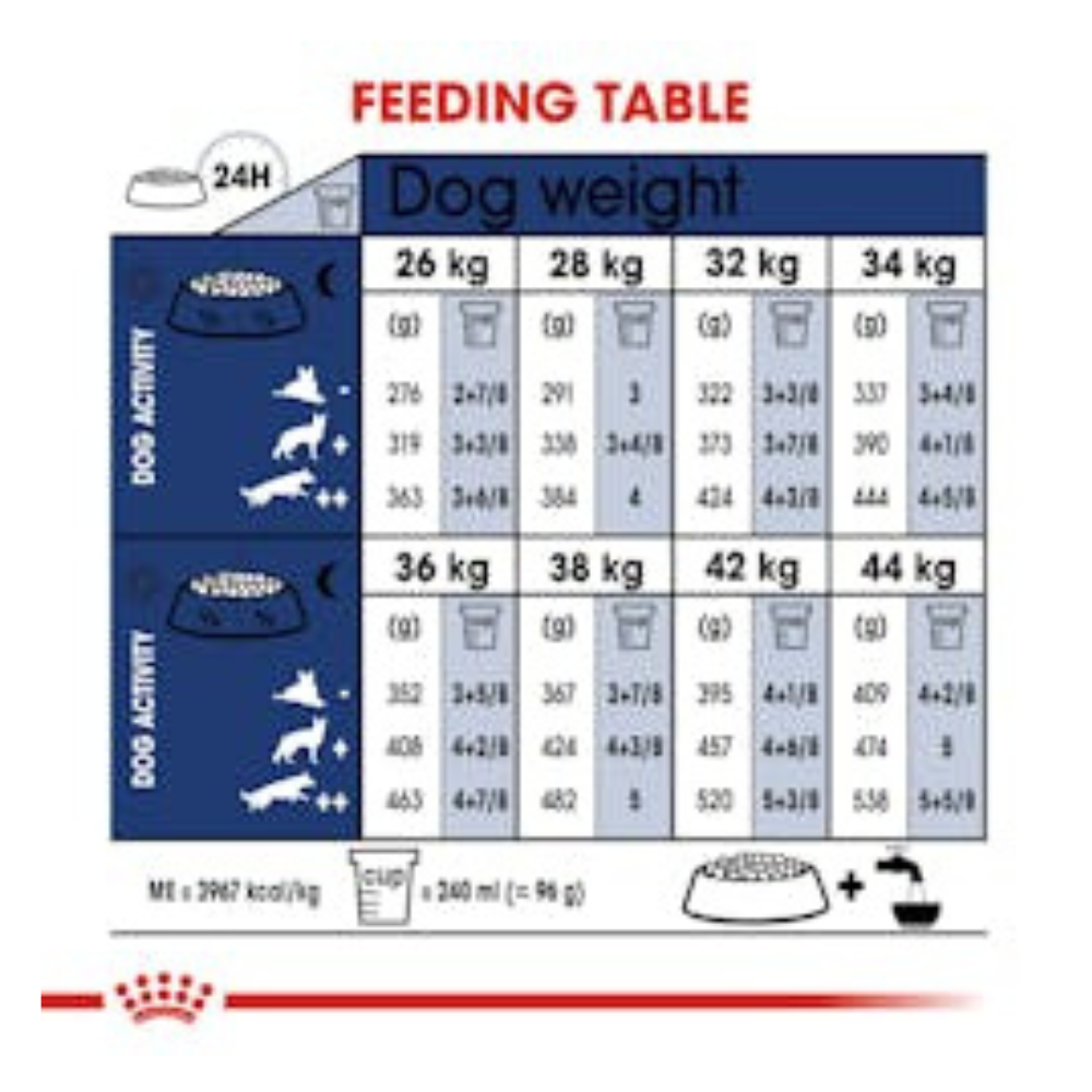 Royal Canin - Perros Adultos Grandes