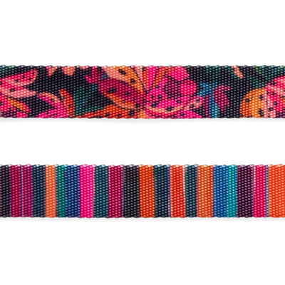 Zeecat - Farm - Gatos Collar - Selva