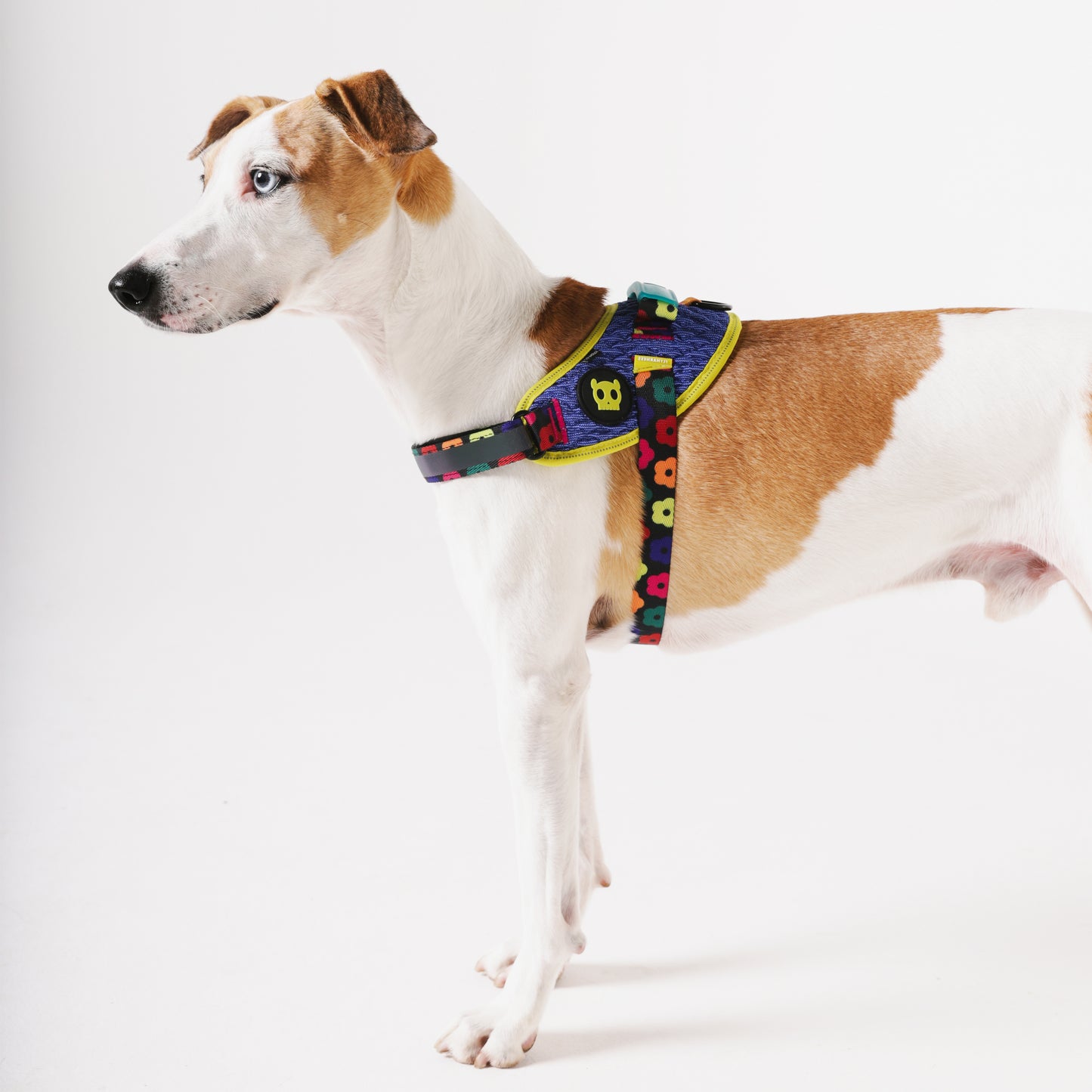 Zeedog - Farm - Flyharness - Samba