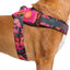 Zeedog - Farm - Flyharness - Selva