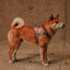 Zeedog - Perros - Pechera Fly Harness - Reebok Suede