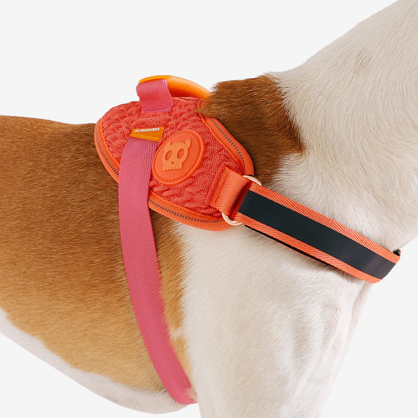 Zeedog - Perros - Zeedog - Perros Pechera Fly Harness - Gazzelle